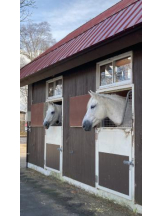 SOPHIA - まりなの女の子ブログ画像