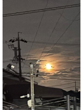 SOPHIA - まりなの女の子ブログ画像