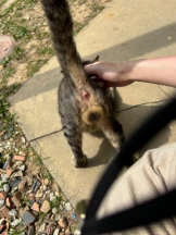 SOPHIA - まりなの女の子ブログ画像