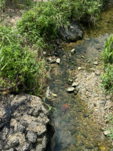 SOPHIA - まりなの女の子ブログ画像