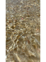 SOPHIA - まりなの女の子ブログ画像