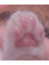 SOPHIA - まりなの女の子ブログ画像