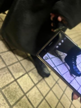 SOPHIA - りなの女の子ブログ画像