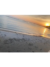 SOPHIA - りなの女の子ブログ画像