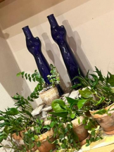 SOPHIA - りなの女の子ブログ画像