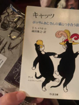 SOPHIA - まいの女の子ブログ画像