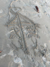 SOPHIA - まいの女の子ブログ画像