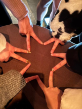 SOPHIA - まいの女の子ブログ画像