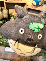 SOPHIA - れむの女の子ブログ画像