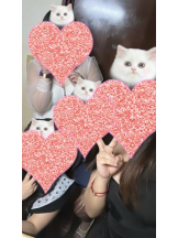 SOPHIA - れむの女の子ブログ画像