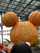 PURITY - ほたるの女の子ブログ画像