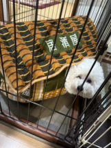 PURITY - ほたるの女の子ブログ画像