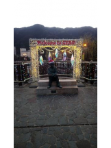 PURITY - ほたるの女の子ブログ画像