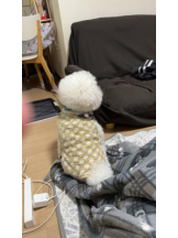 PURITY - ほたるの女の子ブログ画像