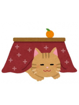 PURITY - ほたるの女の子ブログ画像