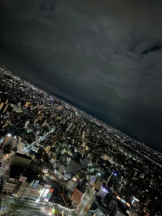 PURITY - ほたるの女の子ブログ画像