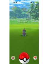 PURITY - ほたるの女の子ブログ画像