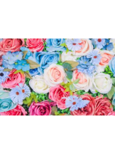 PURITY - ほたるの女の子ブログ画像