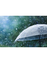 PURITY - ほたるの女の子ブログ画像