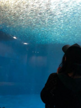 PURITY - ほたるの女の子ブログ画像