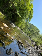 PURITY - ほたるの女の子ブログ画像