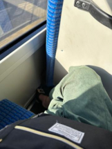 PURITY - ほたるの女の子ブログ画像