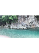 PURITY - ほたるの女の子ブログ画像