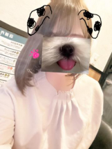 PURITY - ほたるの女の子ブログ画像