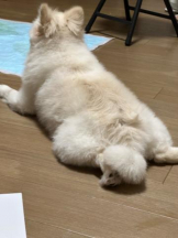 PURITY - ほたるの女の子ブログ画像