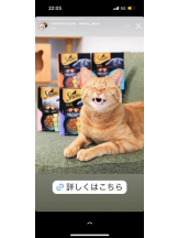 PURITY - ほたるの女の子ブログ画像