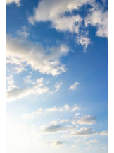 PURITY - ほたるの女の子ブログ画像