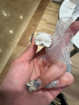 PURITY - ほたるの女の子ブログ画像