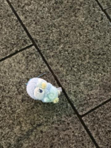 PURITY - ほたるの女の子ブログ画像