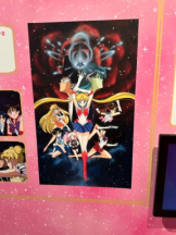 PURITY - ほたるの女の子ブログ画像