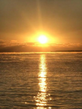 PURITY - ほたるの女の子ブログ画像