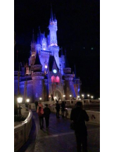 PURITY - ほたるの女の子ブログ画像