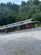 PURITY - ほたるの女の子ブログ画像