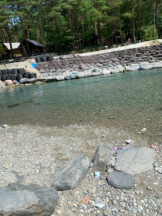 PURITY - ほたるの女の子ブログ画像