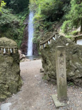 PURITY - ほたるの女の子ブログ画像