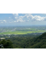 PURITY - ほたるの女の子ブログ画像