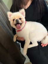 PURITY - ほたるの女の子ブログ画像