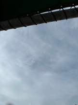 PURITY - ほたるの女の子ブログ画像