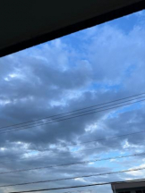 PURITY - ほたるの女の子ブログ画像