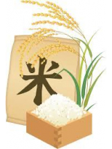 PURITY - ほたるの女の子ブログ画像