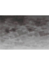 PURITY - ほたるの女の子ブログ画像