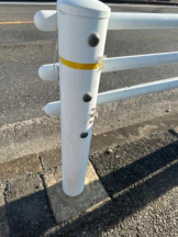 PURITY - ほたるの女の子ブログ画像