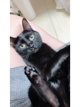 PURITY - ほたるの女の子ブログ画像