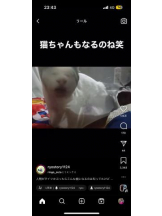 PURITY - ほたるの女の子ブログ画像