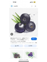 PURITY - ほたるの女の子ブログ画像