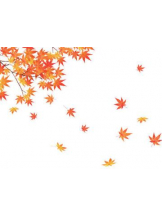 PURITY - ほたるの女の子ブログ画像